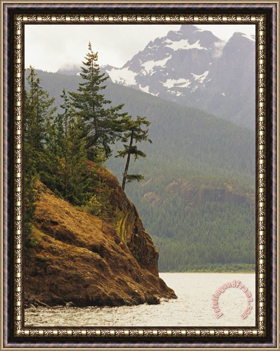 Raymond Gehman Fir Trees Cling to a Waterside Cliff Framed Painting