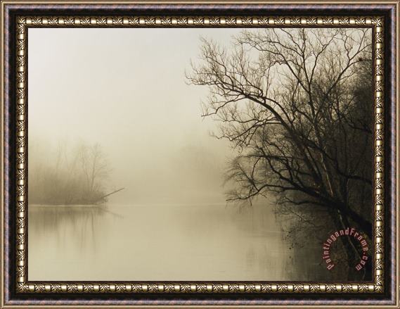 Raymond Gehman Fog Hovers Above The James River Framed Print