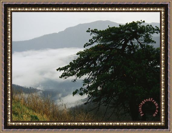 Raymond Gehman Fog in Valley Below Old Rag Mountain Framed Painting