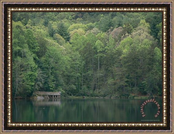 Raymond Gehman Frog Pond in Chattachoochee National Forest Framed Painting