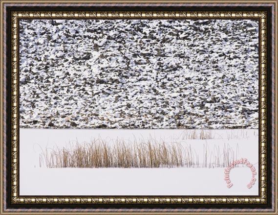 Raymond Gehman Frozen Pond Marsh Grass And Talus Slope Yellowstone National Park Framed Painting