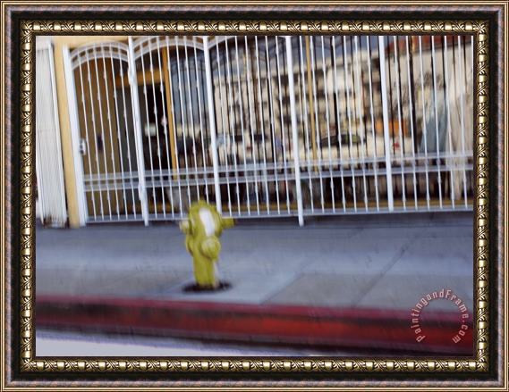 Raymond Gehman Gate Across a Storefront And Fire Hydrant on The Sidewalk Framed Painting