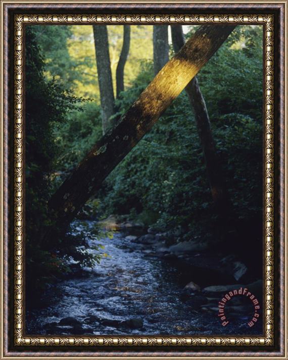 Raymond Gehman Gentle Rock Strewn Stream in a Woodland Setting Framed Painting