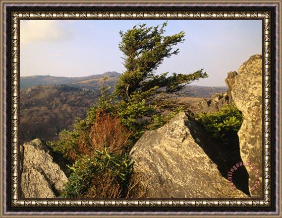 Raymond Gehman Granite Outcrop of Big Pinnacle with Mount Rogers Beyond Framed Painting