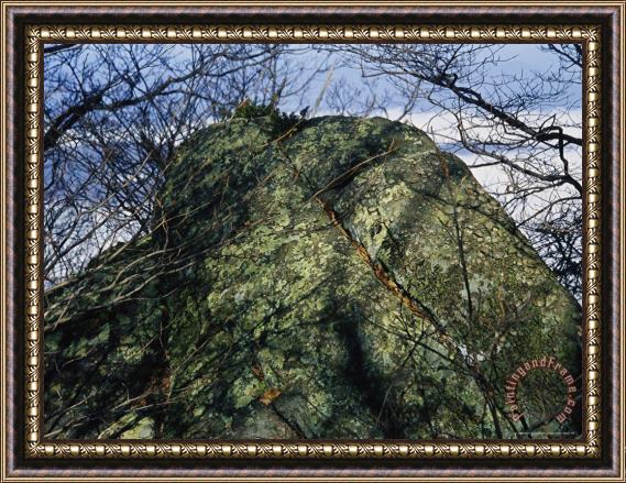 Raymond Gehman Greenstone Rock Covered with Lichens on Thunder Ridge Framed Painting