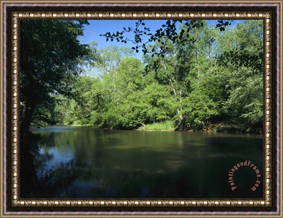 Raymond Gehman Hardwood Forest on The Eno River in Spring Framed Print