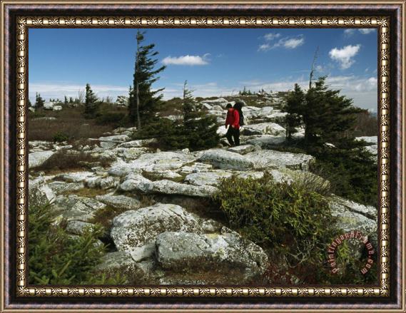 Raymond Gehman Hiker Traversing a Rocky Landscape Dotted with Evergreens Framed Painting