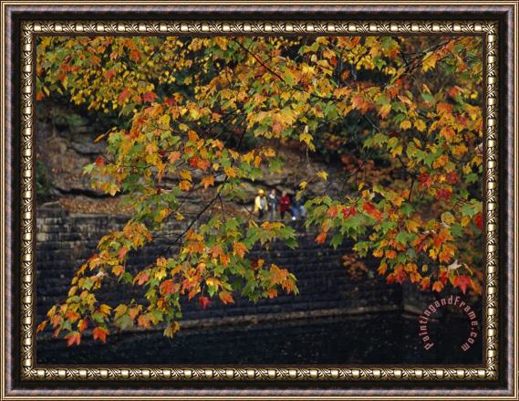 Raymond Gehman Hikers Seen Through The Branches of a Maple Tree in Autumn Hues Framed Painting