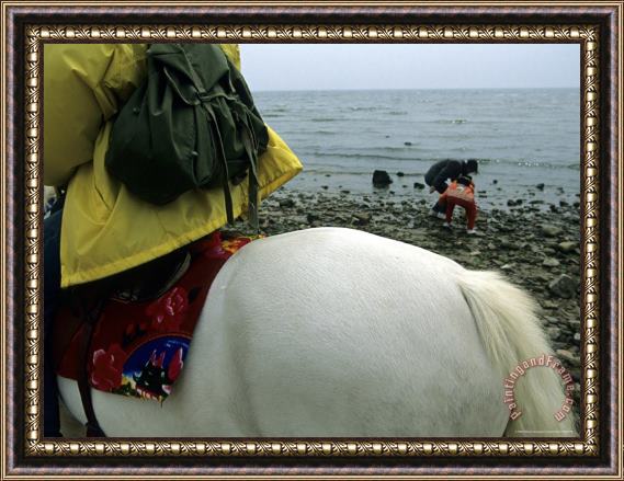 Raymond Gehman Horseback Riding Near Bohai Sea Qinhuangdao Hebei Province China Framed Painting