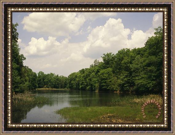 Raymond Gehman Hot Afternoon Clouds And Tree Relections in The Branch Pond Framed Print