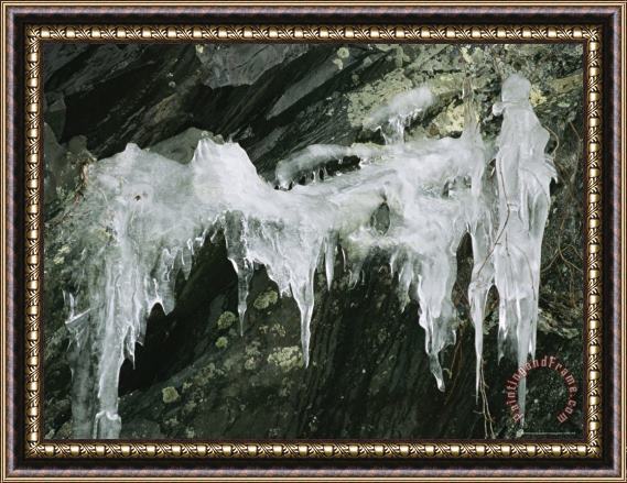 Raymond Gehman Ice From Water Seeping Through Cracks in Rock Humpback Rocks Framed Print