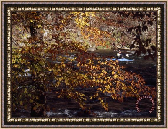 Raymond Gehman Kayaker on The Nantahala River Seen Through Birch Tree Branches Framed Painting