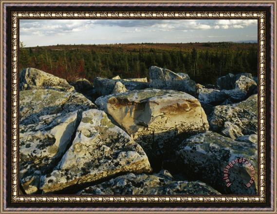 Raymond Gehman Large Boulders And Forest of Evergreens And Trees in Autumn Hues Framed Print