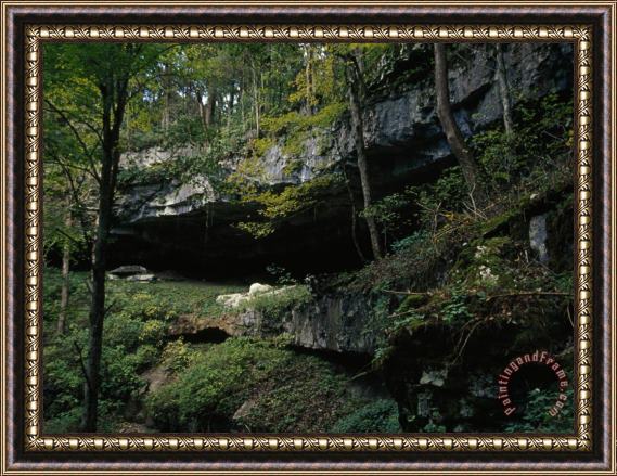 Raymond Gehman Limestone Walls And Vegetation Inside a Sinkhole Framed Painting