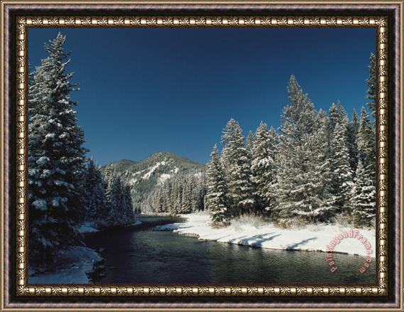 Raymond Gehman Madison River Gallatin National Forest Montana Framed Print