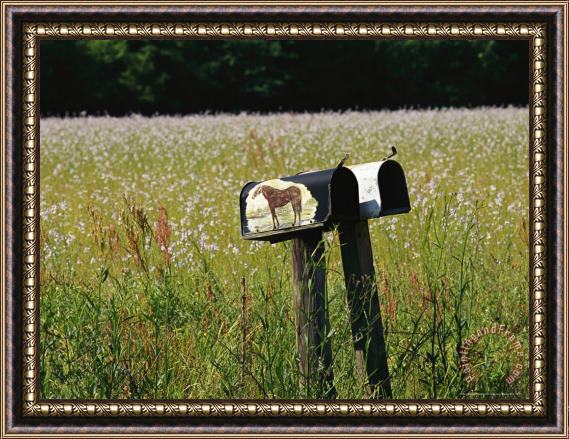 Raymond Gehman Mailboxes And a Field of Wildflowers Framed Print