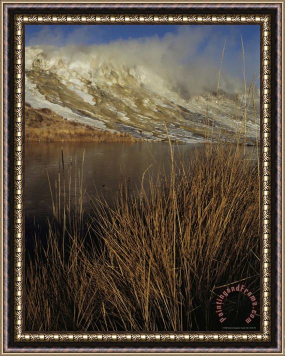 Raymond Gehman Mammoth Hot Spring Yellowstone National Park Wyoming Framed Print