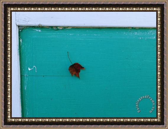 Raymond Gehman Maple Leaf on a Turquoise Painted Door Framed Print