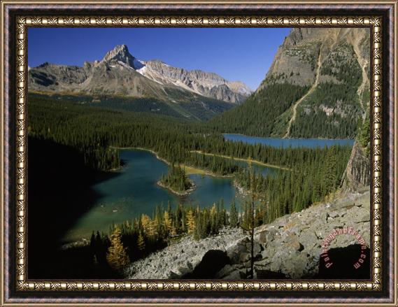 Raymond Gehman Mary Lake And Lake O Hara Sprawl at The Foot of Wiwaxy Peaks in Yoho National Park Framed Painting