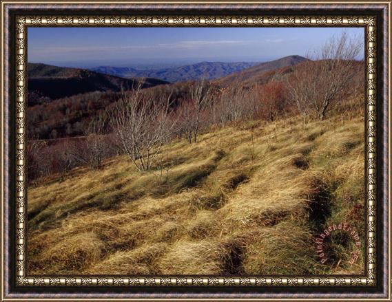 Raymond Gehman Max Patch And Distant Mountains in Autumn Colors Framed Painting