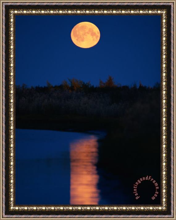 Raymond Gehman Moonrise Over The Delta Framed Print