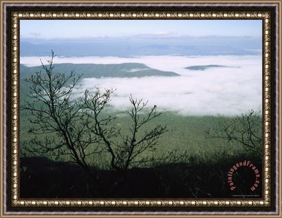 Raymond Gehman Morning Fog Blankets Thunder Ridge in Jefferson National Forest Framed Painting