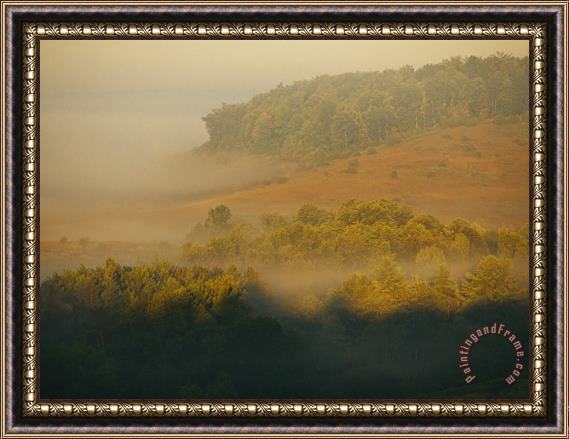 Raymond Gehman Morning Fog Rises From The Forest Framed Painting