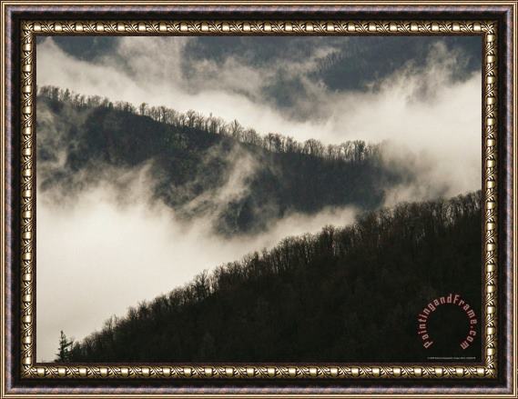 Raymond Gehman Morning Valley Fog Rising Around Thorofare Mountain Framed Painting