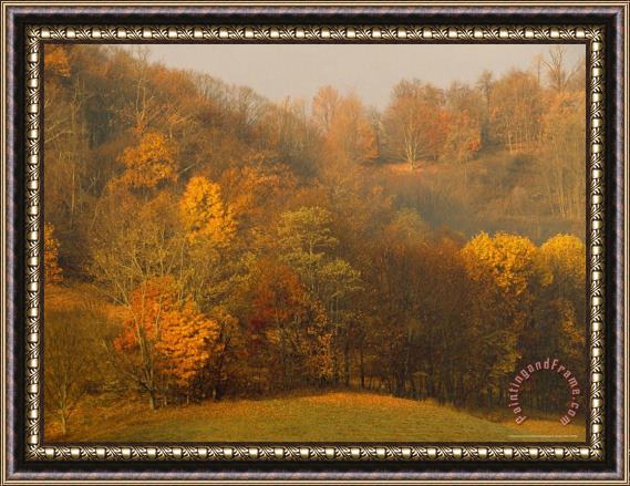 Raymond Gehman Morning View of Autumn Colors in The Jefferson National Forest Framed Painting