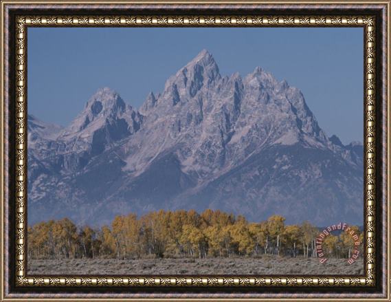 Raymond Gehman Mountain Landscape with Aspen Trees in Autumn Hues Framed Print