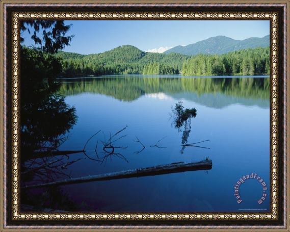 Raymond Gehman Mountains And Evergreens Reflect in Clear Calm Waters Framed Painting