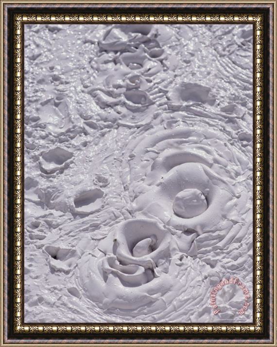 Raymond Gehman Mud Pot Detail Pocket Basin Framed Painting