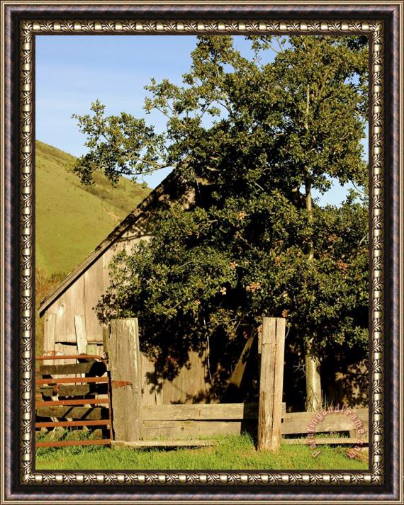 Raymond Gehman Old Barn Off Highway 1 Northern California Framed Print