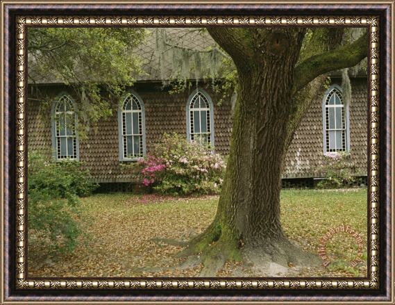Raymond Gehman Old Church with Blooming Azaleas Oak Tree And Spanish Moss Framed Print