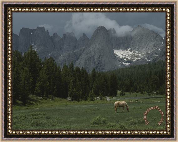 Raymond Gehman Outfitters Horse Grazes in Meadow Framed Painting