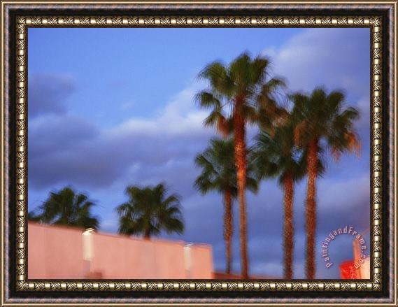 Raymond Gehman Palm Trees at Sunset Along Melrose Avenue Framed Painting