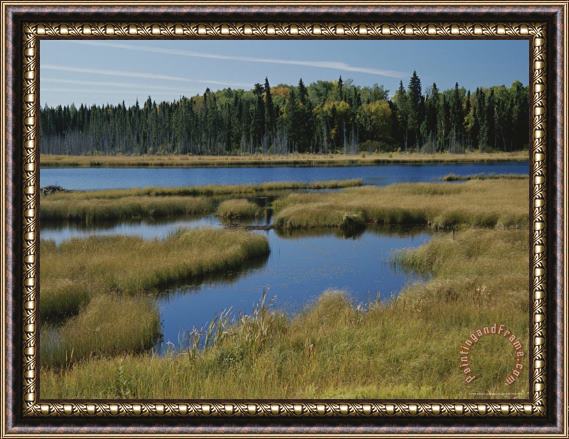 Raymond Gehman Plots of Grass Dot This Cerulean Blue Lake Framed Painting