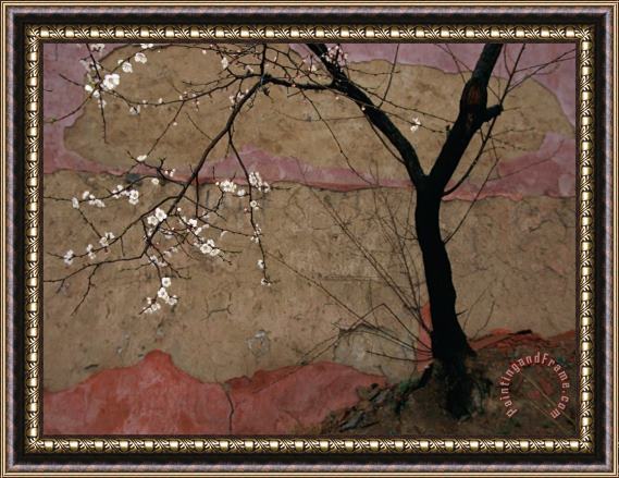 Raymond Gehman Plum Tree Against a Colorful Temple Wall Framed Print
