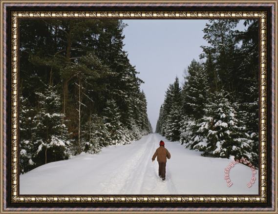 Raymond Gehman Polish Child Walking on a Snowy Road in Bialowieza Forest Framed Painting
