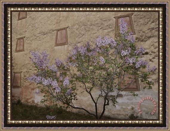 Raymond Gehman Potala Temple And Lilac Tree Framed Painting