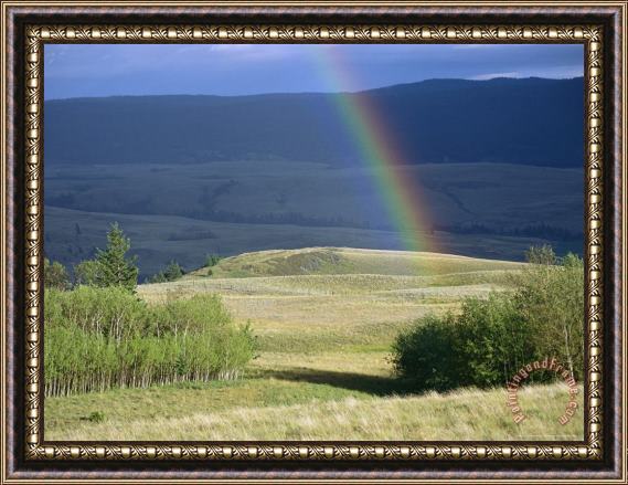 Raymond Gehman Rainbow Touches Down on a Plain After an Evening Rainstorm Framed Painting