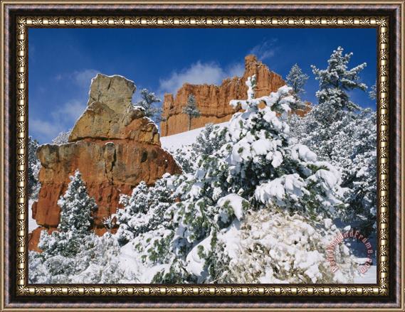 Raymond Gehman Red Rock Formations Poke Through a Late Winter Snow Framed Painting