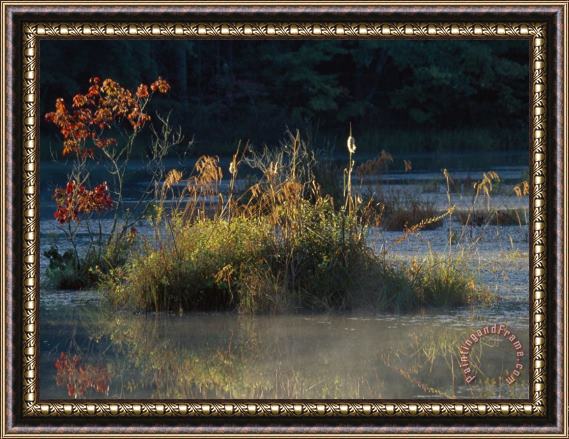Raymond Gehman Reflections And Autumn Hues at Sloans Crossing Pond Framed Print