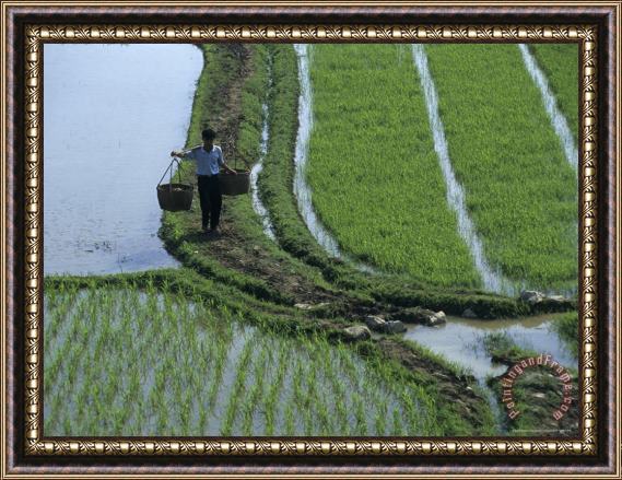 Raymond Gehman Rice Farmer in Fields Guilin Yangdi Valley Framed Painting