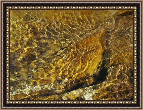 Raymond Gehman Rippling Water in Jefferson National Forest Framed Painting