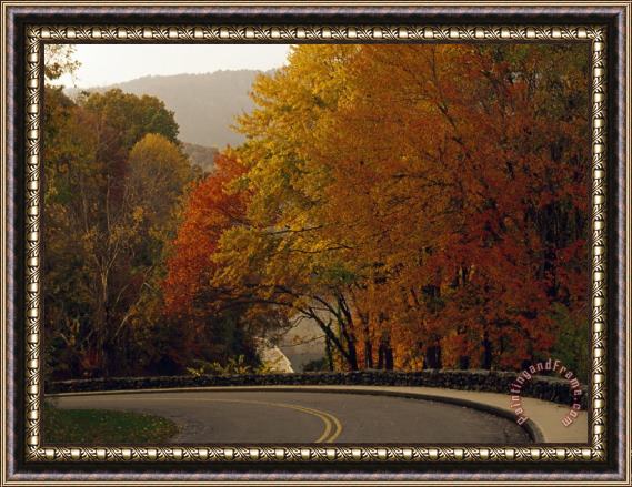 Raymond Gehman Road Going Around a Bend And Colorful Trees in Autumn Hues Framed Painting