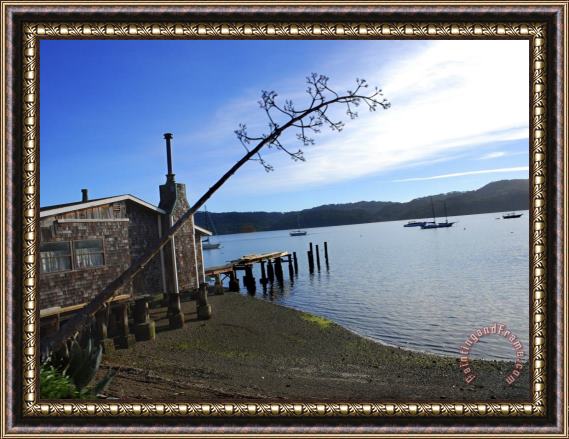 Raymond Gehman Road Shot of Tomales Bay From Route 1 North of San Francisco Ca Framed Painting