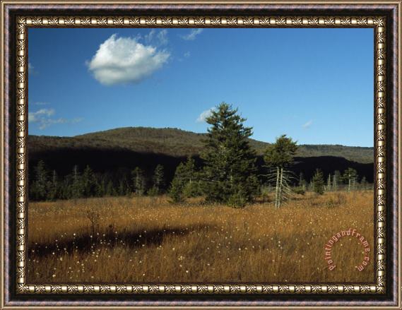 Raymond Gehman Round Glade with Evergreen Trees And Low Mountain Ridges Framed Painting