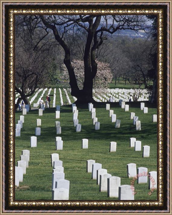 Raymond Gehman Rows of Tombstones Line The Fields of Arlington National Cemetery Framed Print