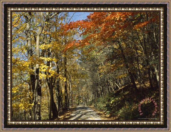 Raymond Gehman Roy Gap Road Trail Framed Painting